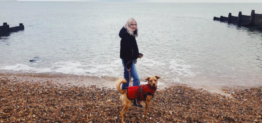 Alison Sudol walks her dog on the beach on Boxing Day.