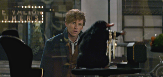 Newt Scamander and his Niffler