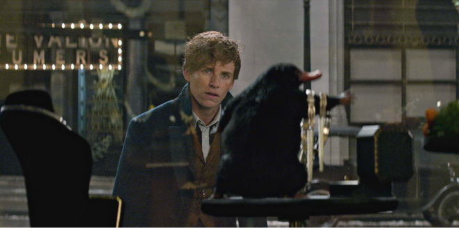 Newt Scamander and his Niffler