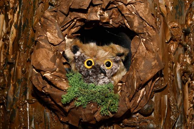A plush owl is photographed in a hollow of a tree at Whimsic Alley in Falkirk, Scotland. (Source: Falkirk Herald)