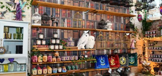 This is a photo of shelves of merchandise at the Whimsic Alley in Falkirk, Scotland.