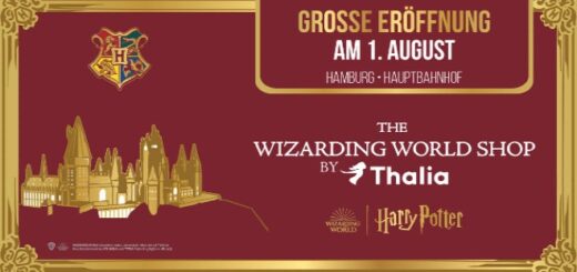 The Wizarding World Shop by Thalia Flyer