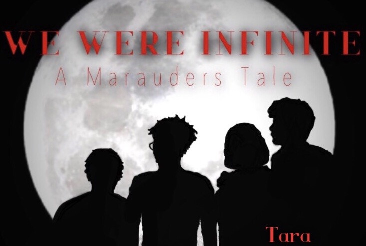 "We Were Infinite" Fanfiction Cover