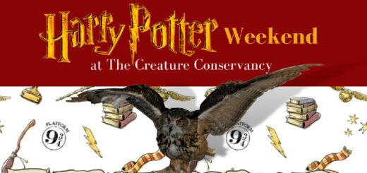"Harry Potter" weekend at the Creature Conservancy