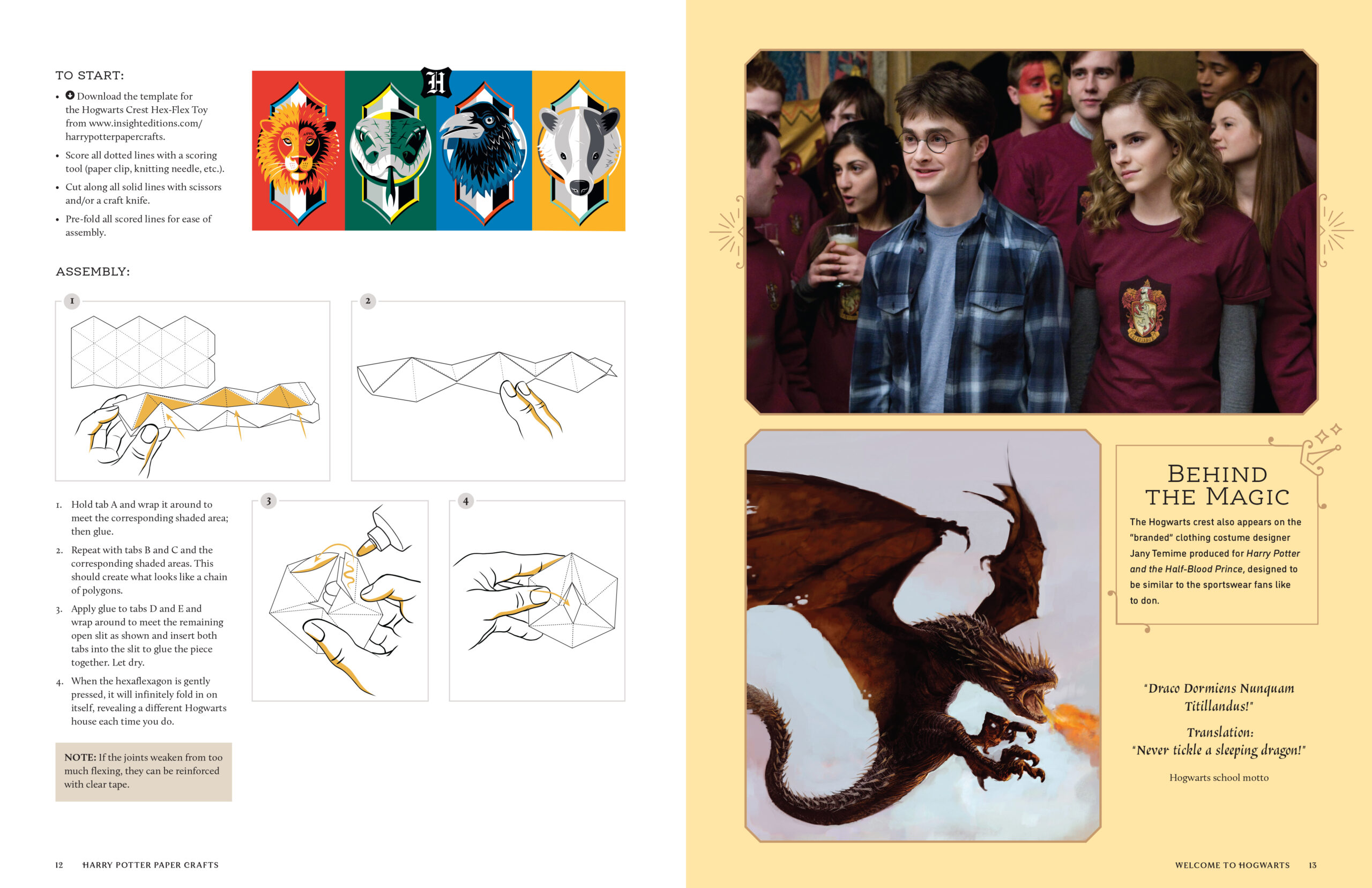 “Harry Potter: Magical Paper Crafts” features facts about the films.