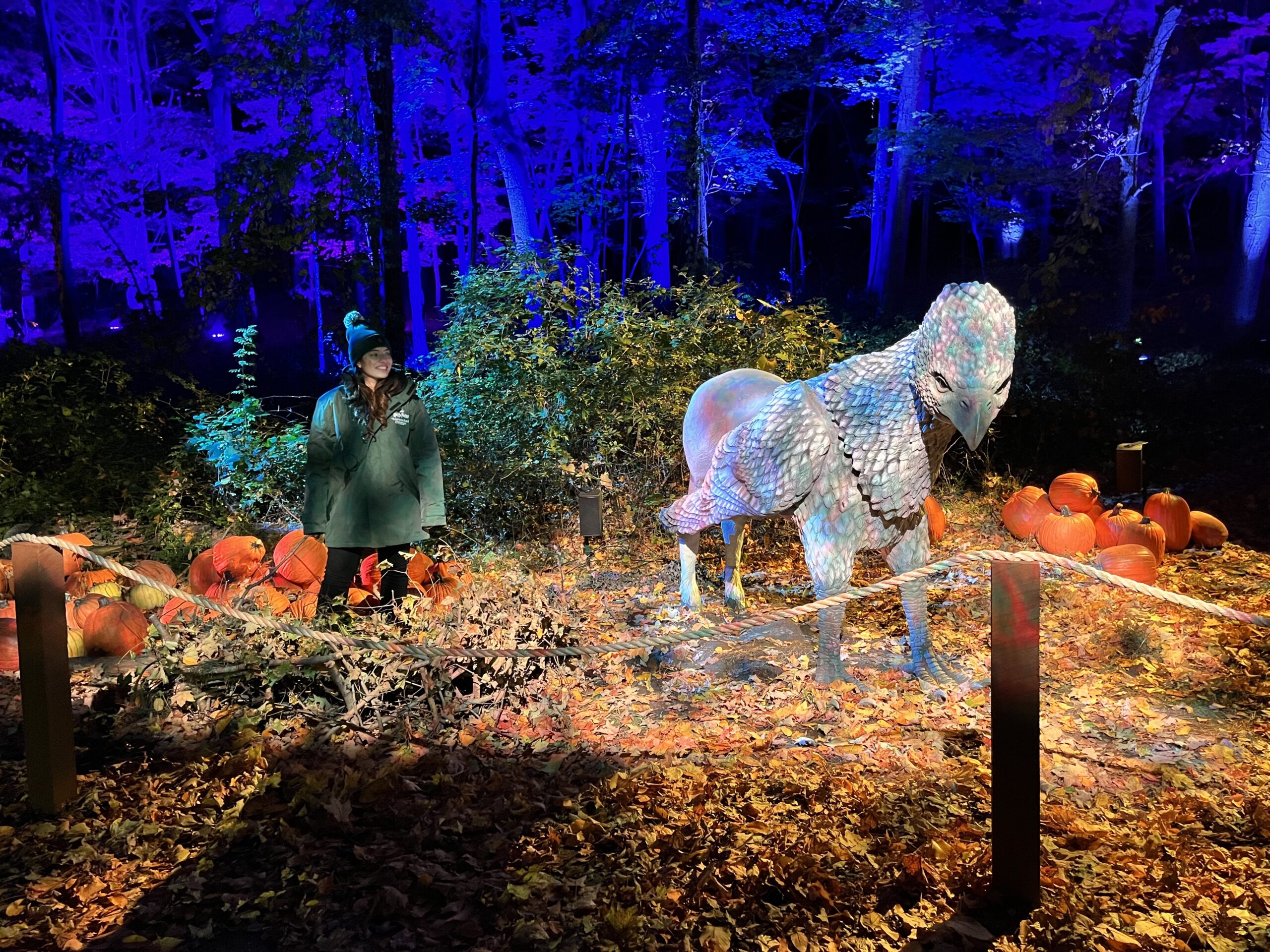This Buckbeak recreation is part of the Forbidden Forest experience.