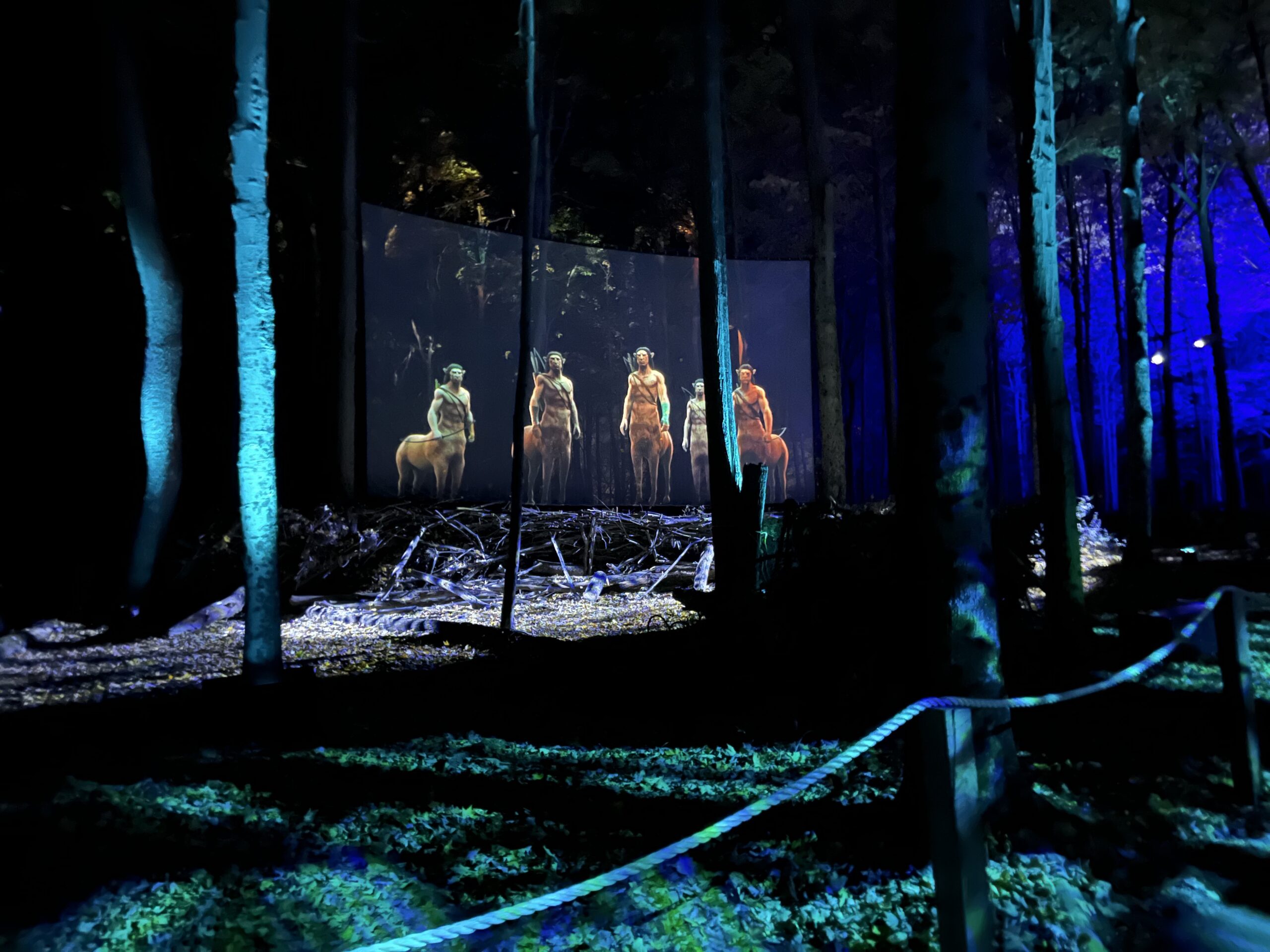 This animation shows centaurs in the Forbidden Forest experience.