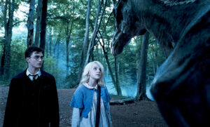 Luna Lovegood and Harry Potter. 