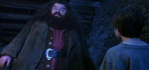 Robbie Coltrane and Daniel Radcliffe in "Harry Potter and the Sorcerer's Stone"