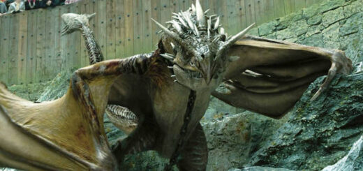 This is the Hungarian Horntail in the First Task of the Triwizard Tournament.