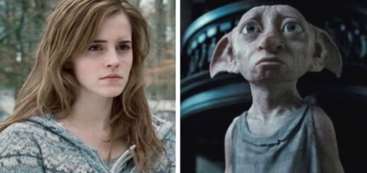 Hermione and Dobby