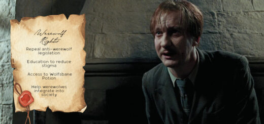 Parchment with proposals for werewolf rights next to an image of Remus Lupin