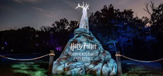 Harry Potter: A Forbidden Forest Experience is going to Texas