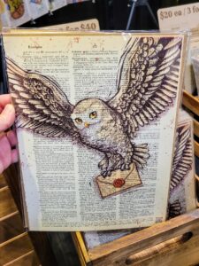 image of Hedwig printed on dictionary page