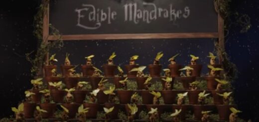 Rows of Edible Mandrakes sit on display for "Harry Potter: Wizards of Baking."