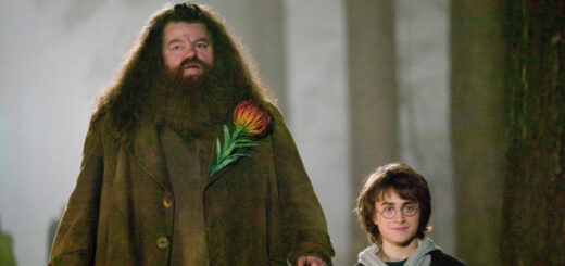 Harry and Hagrid.
