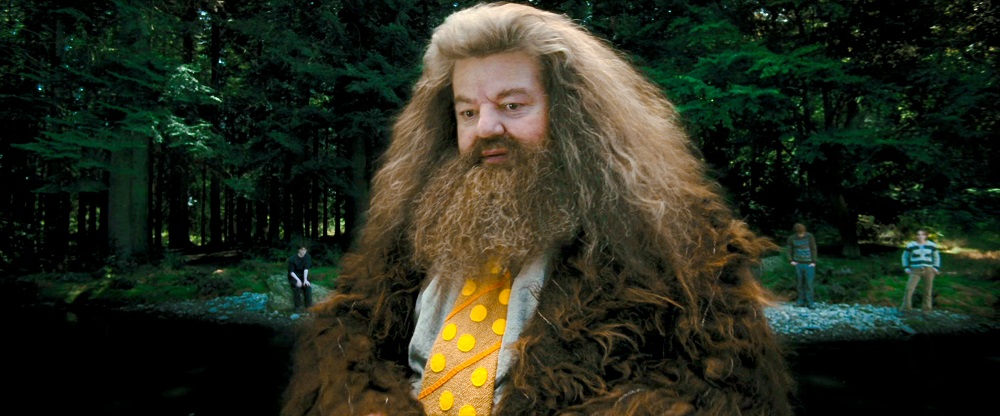 Hagrid