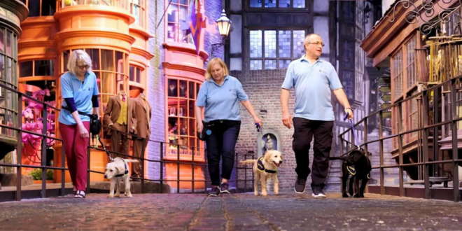 Guide dogs being shown around Diagon Alley at Warner Bros. Studio Tour London