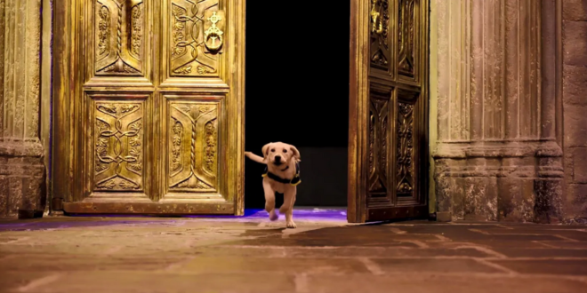 Guide dog exploring the Great Hall at Warner Bros. Studio Tour London