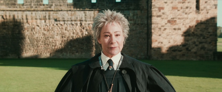 Madam Hooch