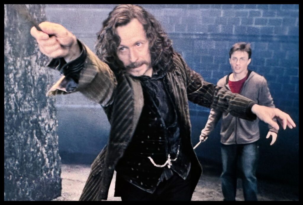 Sirius Black wears a plush velvet vest with silver chains under a pin striped jacket