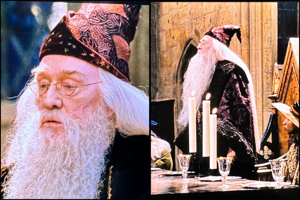 Dumbledore gives a speech wearing velvet robes and a plush velvet wizard hat