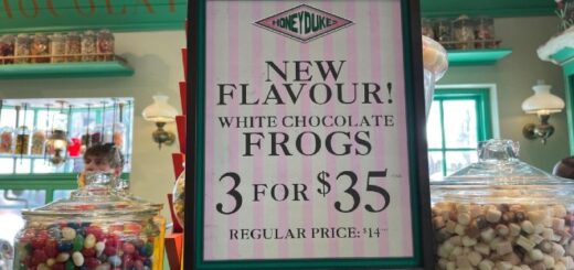 A sign in Honeydukes advertises the newest flavor of chocolate frogs: white chocolate.