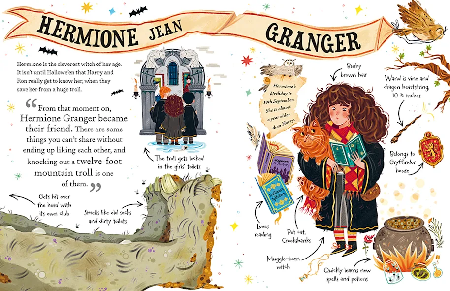 A sample of the "Hermione Granger" guide of the "Pocket Potters" series covers the troll in the bathroom incident from the first book.