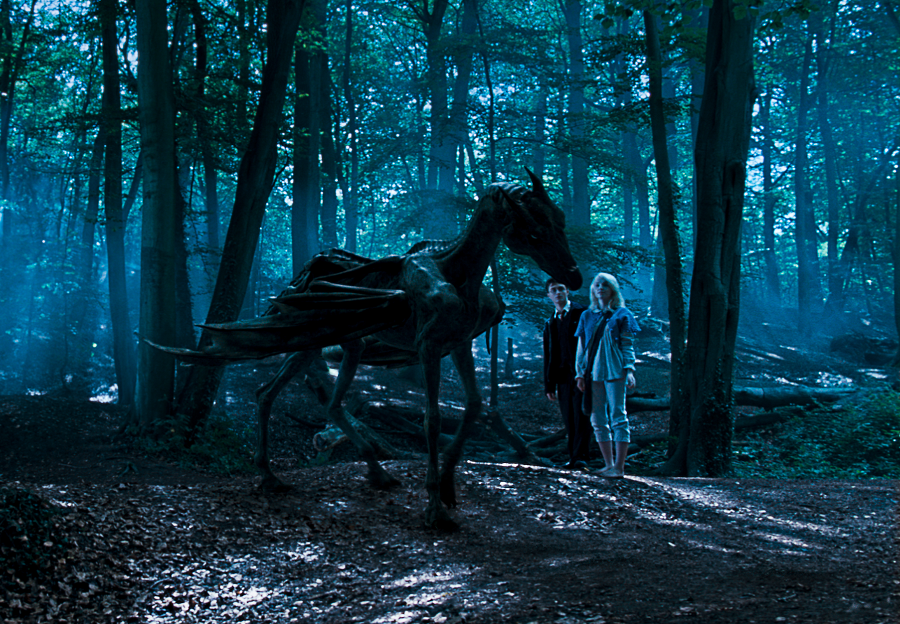 Harry and Luna meeting a thestral.